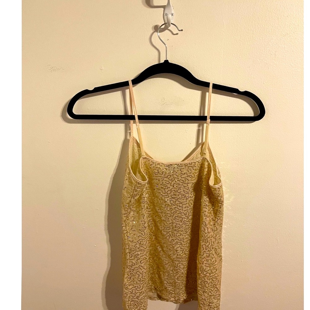 Sequins cami by Express. - Picture 2 of 3